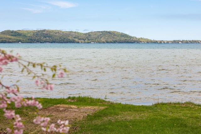 5434 W Macfarlane Rd, Glen Arbor, MI 49636