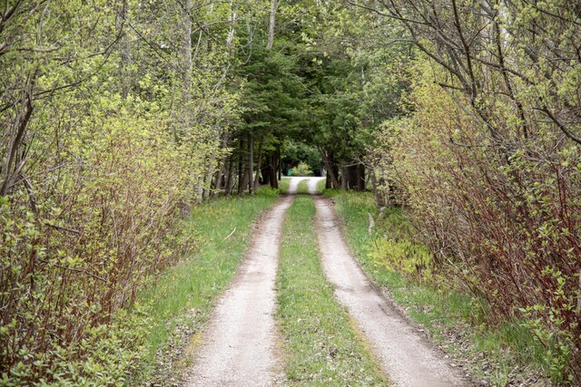 5434 W Macfarlane Rd, Glen Arbor, MI 49636
