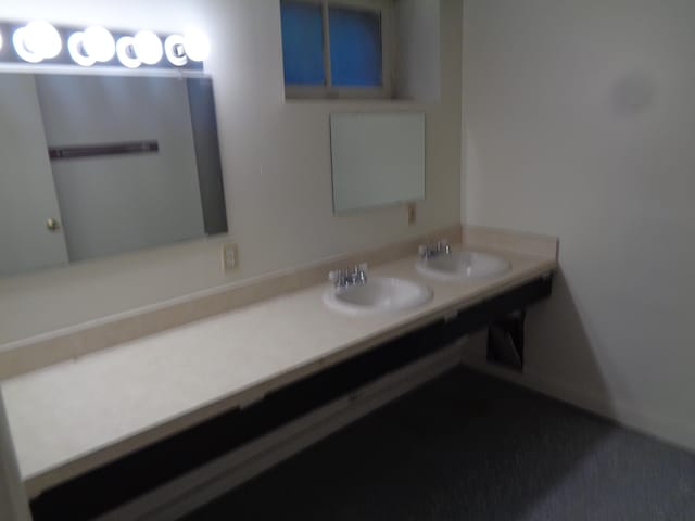 510 S Main, Mount Pleasant, MI 48858 - bathroom with double vanity