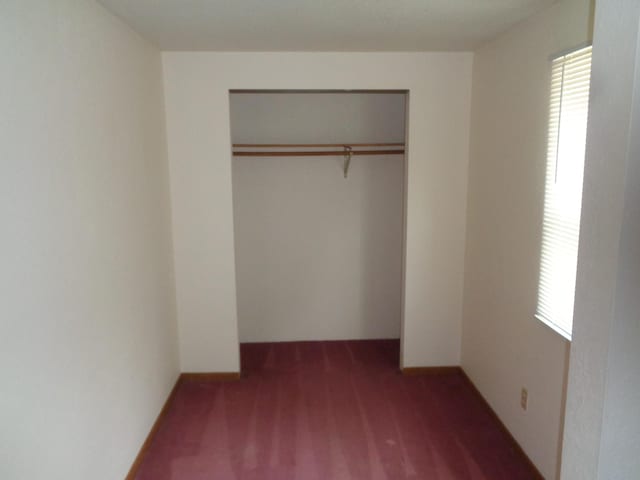 1014 S Lansing, Mount Pleasant, MI 48858 - view of closet