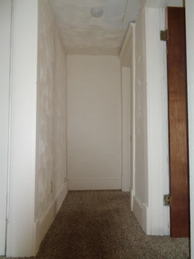 1014 S Lansing, Mount Pleasant, MI 48858 - hallway featuring carpet floors
