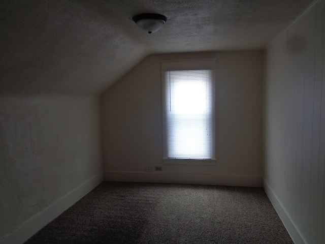 1014 S Lansing, Mount Pleasant, MI 48858 - additional living space featuring plenty of natural light, carpet flooring, lofted ceiling, a textured ceiling, and baseboards