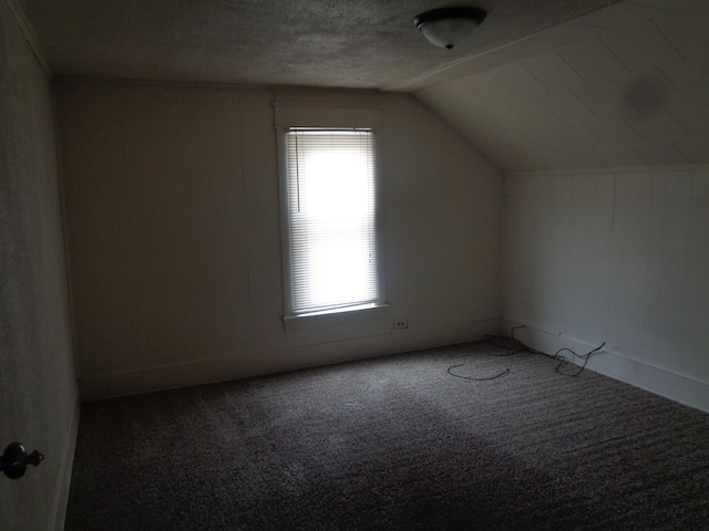 1014 S Lansing, Mount Pleasant, MI 48858 - bonus room with carpet and lofted ceiling