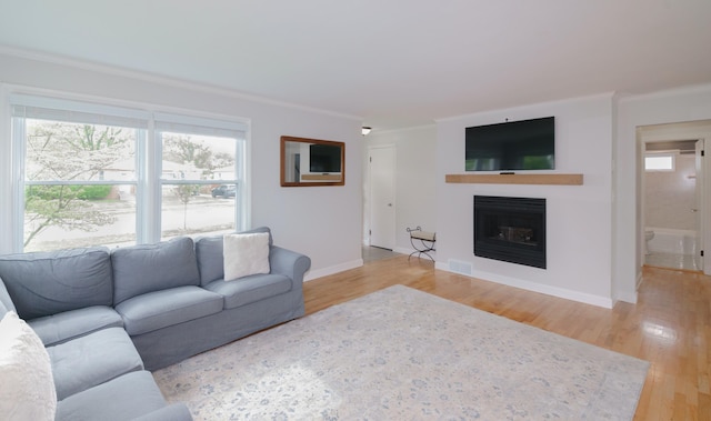 2720 Willa Dr, Saint Joseph, MI 49085 - living room featuring light wood-type flooring, ornamental molding, plenty of natural light, and a fireplace