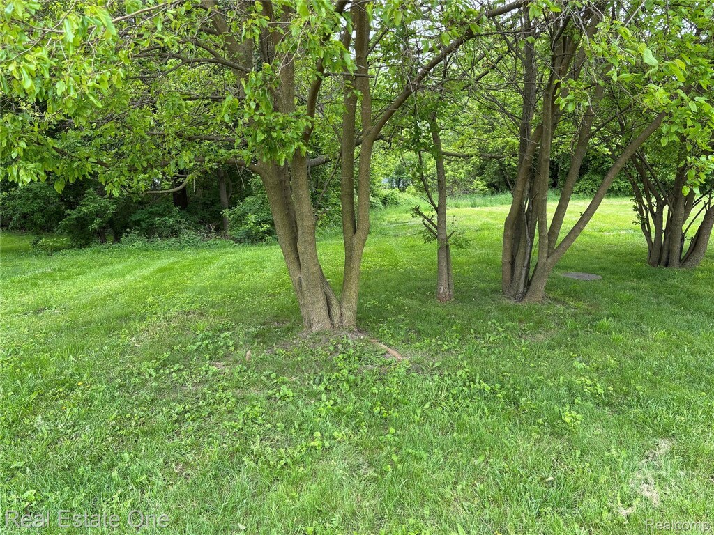 119 W Kennett Rd, Pontiac, MI 48340 - photo 2