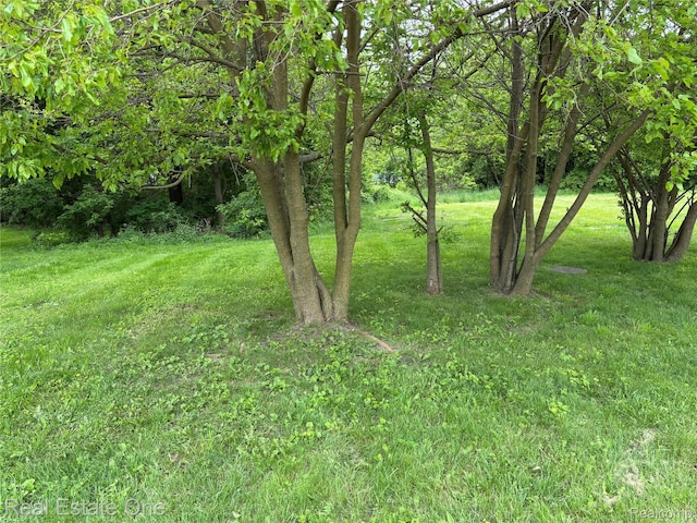 119 W Kennett Rd, Pontiac, MI 48340 - photo 2
