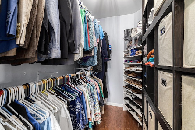 764 Allen Rd, Milan, MI 48160 - walk in closet featuring wood finished floors