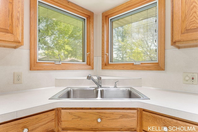 226 Palms St SW, Grand Rapids, MI 49548 - kitchen featuring a sink and light countertops