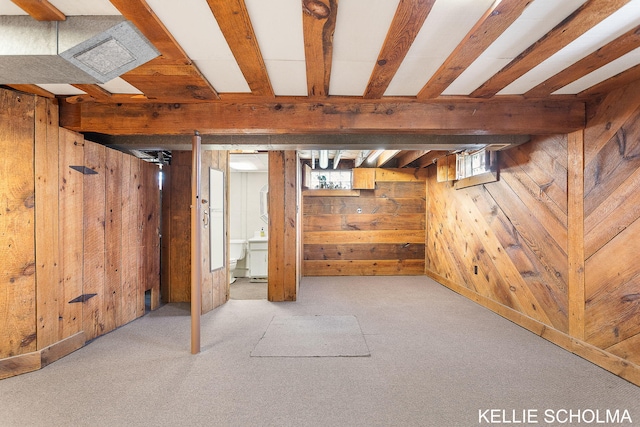 226 Palms St SW, Grand Rapids, MI 49548 - below grade area featuring wooden walls and carpet flooring