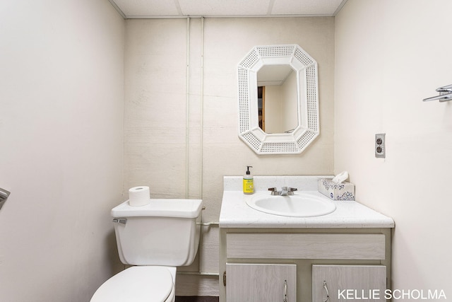 226 Palms St SW, Grand Rapids, MI 49548 - bathroom with vanity and toilet