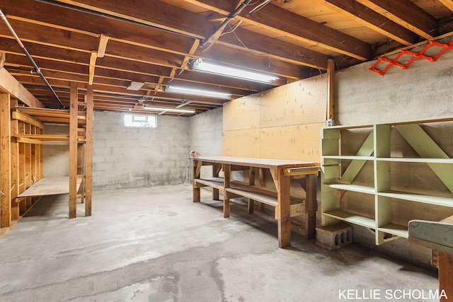226 Palms St SW, Grand Rapids, MI 49548 - below grade area featuring a workshop area