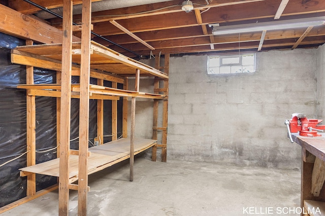 226 Palms St SW, Grand Rapids, MI 49548 - view of below grade area