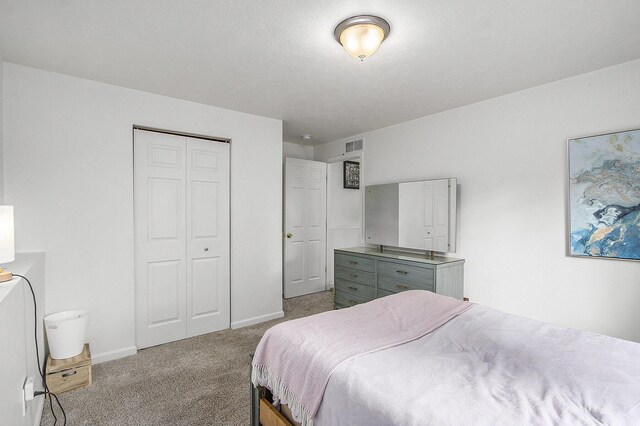 207 Station Hill St, Galesburg, MI 49053 - bedroom with carpet floors, baseboards, and a closet