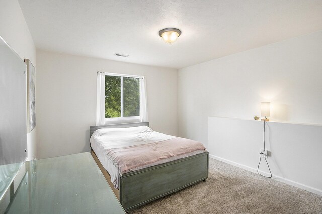 207 Station Hill St, Galesburg, MI 49053 - bedroom featuring carpet and baseboards