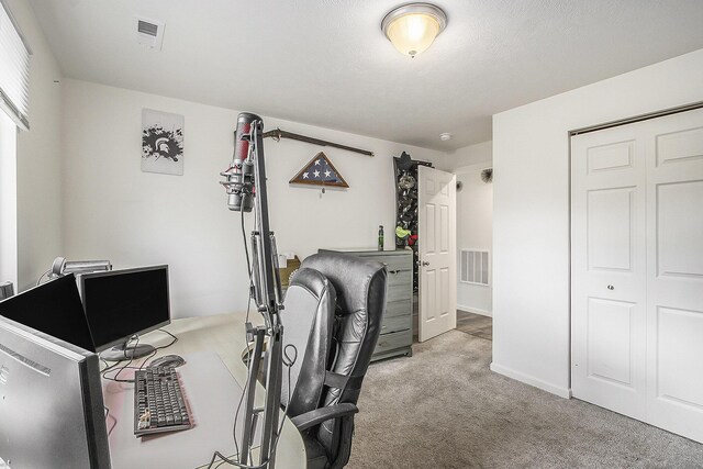 207 Station Hill St, Galesburg, MI 49053 - view of carpeted home office
