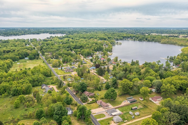 6210 Johnson Rd, Coloma, MI 49038 - drone / aerial view of a large body of water and a heavily wooded area