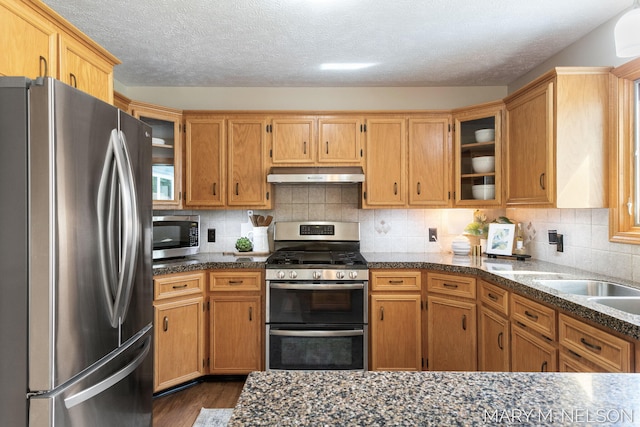 5540 Koster Dr SW, Wyoming, MI 49418 - kitchen with stainless steel appliances, under cabinet range hood, glass insert cabinets, dark wood-style flooring, and a textured ceiling