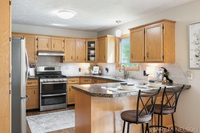5540 Koster Dr SW, Wyoming, MI 49418 - kitchen featuring appliances with stainless steel finishes, under cabinet range hood, a peninsula, a sink, and dark wood finished floors