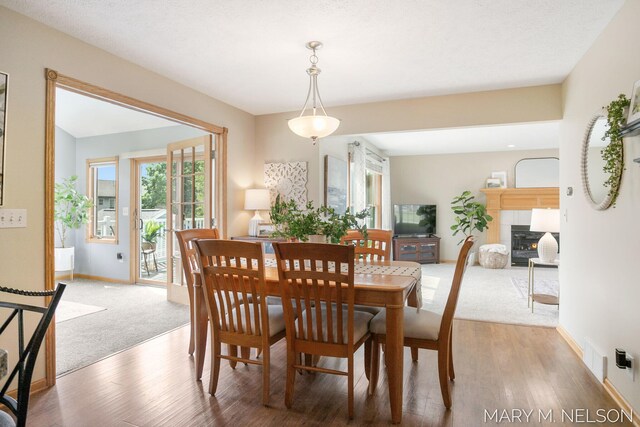 5540 Koster Dr SW, Wyoming, MI 49418 - carpeted dining room with plenty of natural light, a warm lit fireplace, and baseboards