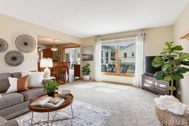 5540 Koster Dr SW, Wyoming, MI 49418 - view of carpeted living area