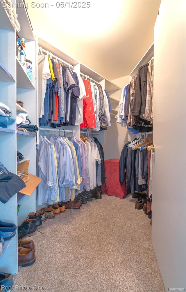 39888 Brylor, Clinton Township, MI 48038 - spacious closet with carpet