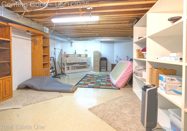 39888 Brylor, Clinton Township, MI 48038 - unfinished basement featuring concrete block wall