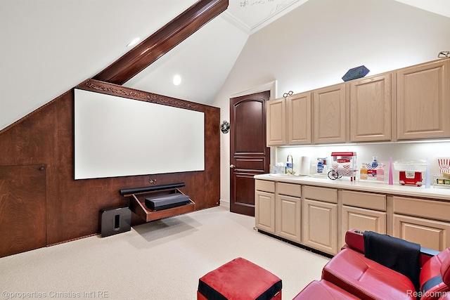 975 Sunningdale Dr, Bloomfield Hills, MI 48302 - cinema featuring lofted ceiling, light carpet, a sink, and crown molding