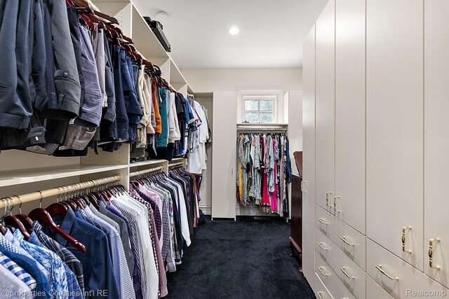 975 Sunningdale Dr, Bloomfield Hills, MI 48302 - spacious closet with dark carpet