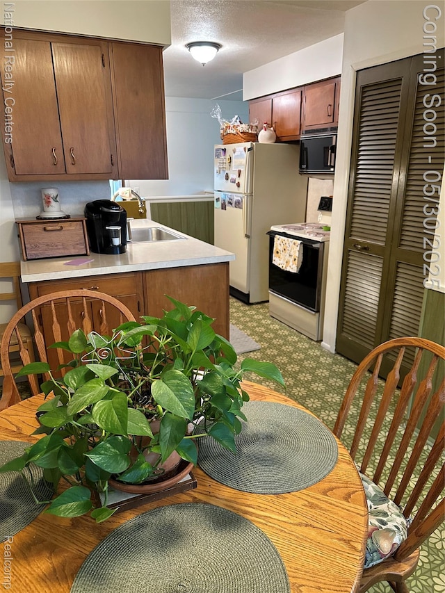 35951 Dover St, Livonia, MI 48150 - kitchen featuring electric stove, black microwave, a sink, light countertops, and freestanding refrigerator