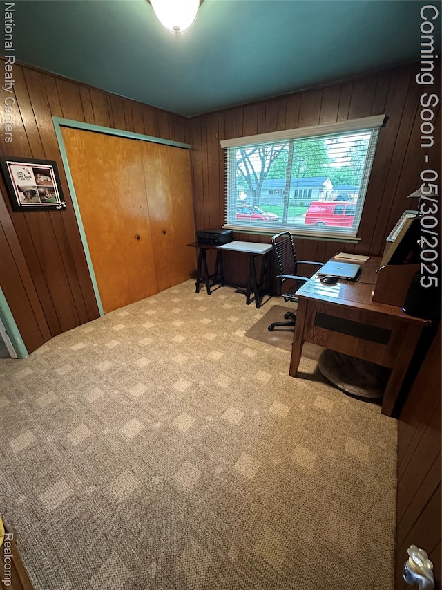 35951 Dover St, Livonia, MI 48150 - carpeted home office with wood walls