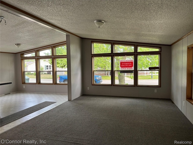 504 Bush Lake Ln, Smiths Creek, MI 48074 - unfurnished room featuring a textured ceiling, carpet flooring, and ornamental molding