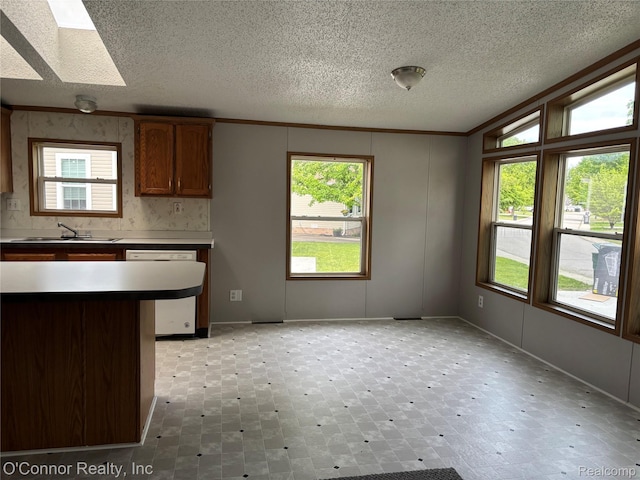 504 Bush Lake Ln, Smiths Creek, MI 48074 - kitchen with dishwasher, a sink, a skylight, a textured ceiling, and crown molding