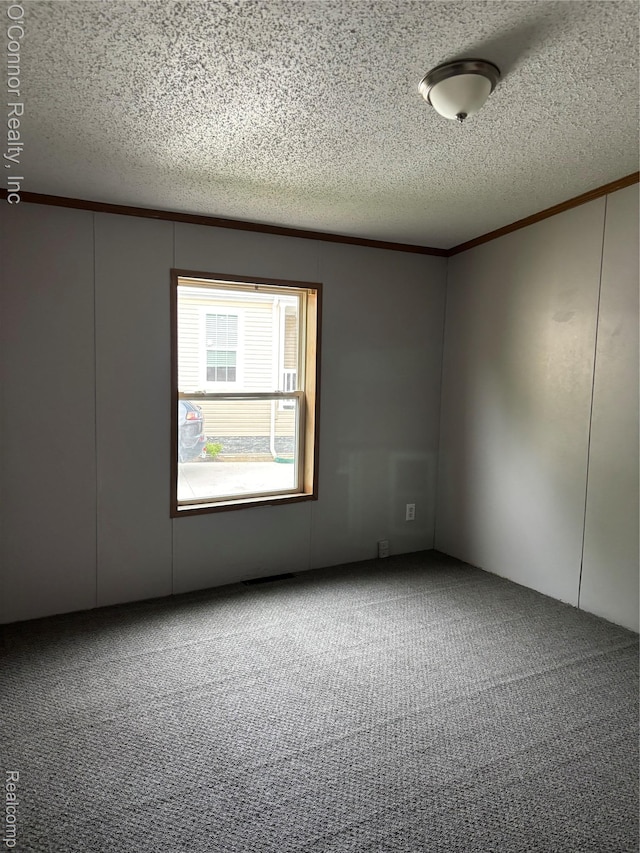 504 Bush Lake Ln, Smiths Creek, MI 48074 - empty room featuring a textured ceiling, ornamental molding, carpet flooring, and a decorative wall