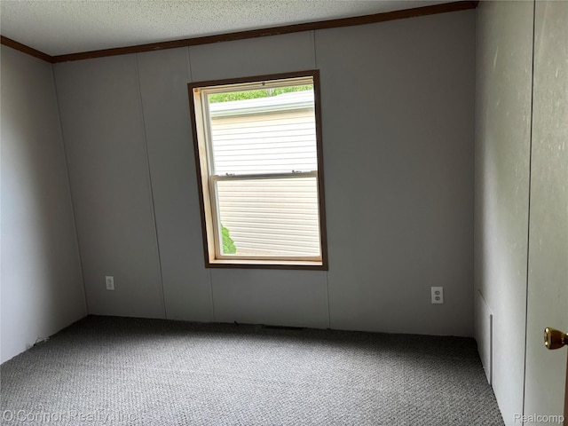 504 Bush Lake Ln, Smiths Creek, MI 48074 - carpeted empty room with a textured ceiling and ornamental molding