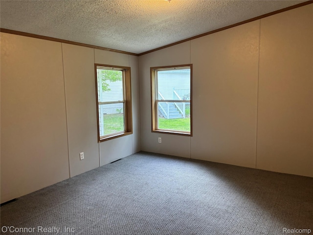 504 Bush Lake Ln, Smiths Creek, MI 48074 - empty room featuring carpet flooring, crown molding, a textured ceiling, and lofted ceiling
