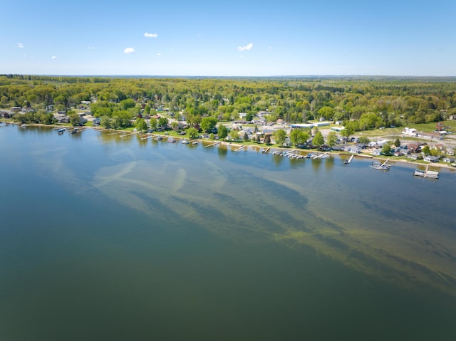 6132 W Houghton Lake Dr, Houghton Lake, MI 48629 - bird's eye view of a heavily wooded area and a large body of water