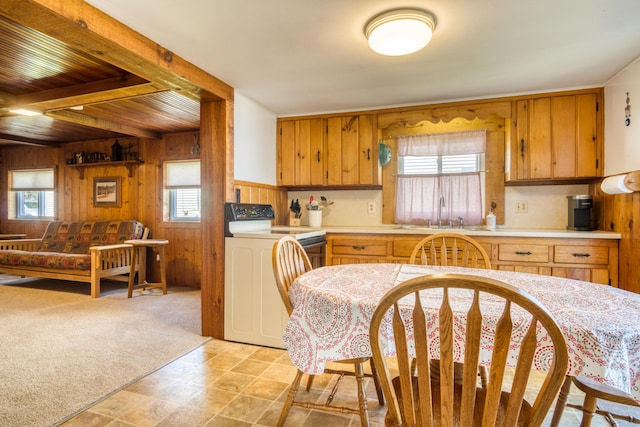 6132 W Houghton Lake Dr, Houghton Lake, MI 48629 - kitchen with wooden walls, light countertops, plenty of natural light, a sink, and electric stove