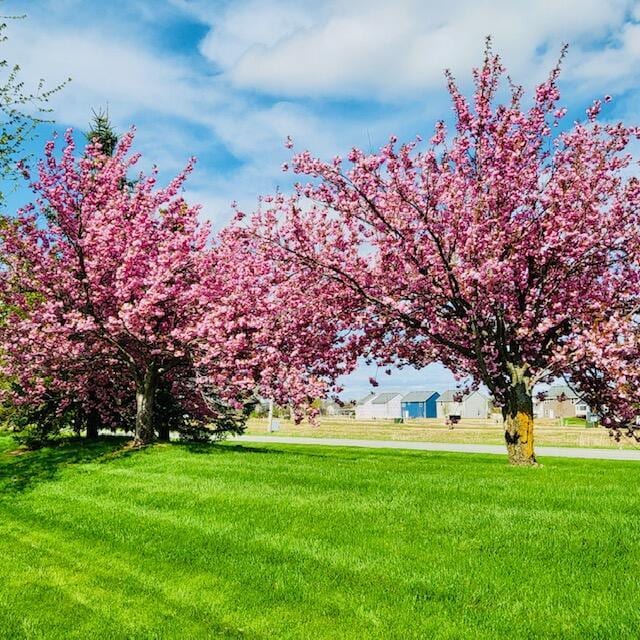 7560 Derbyboro Dr Unit 315, Caledonia, MI 49316 - view of grassy yard