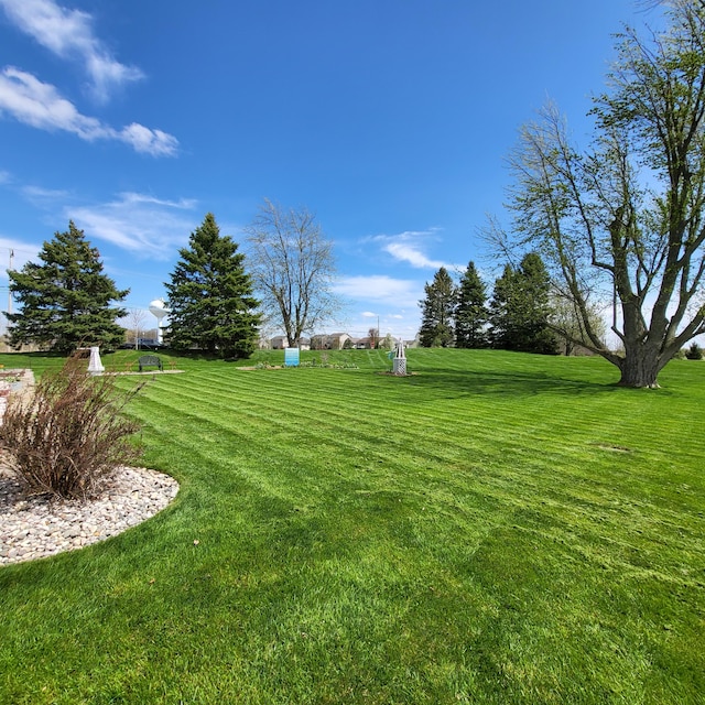 7560 Derbyboro Dr Unit 315, Caledonia, MI 49316 - view of grassy yard