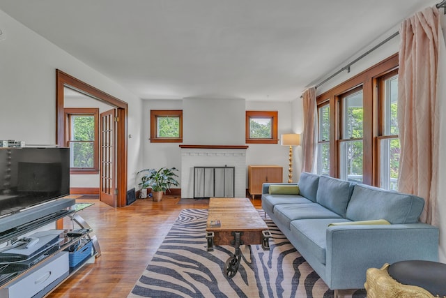 710 S 1st St, Ann Arbor, MI 48103 - living room with wood finished floors, plenty of natural light, baseboards, and a fireplace