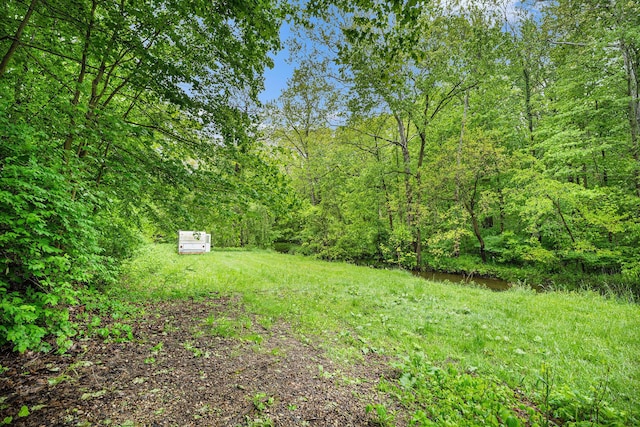 702 W Arlington St, Bangor, MI 49013 - view of yard featuring a wooded view