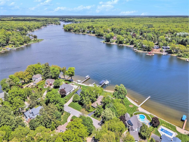 15919 Orchard Point Dr, Spring Lake, MI 49456 - bird's eye view of a forest and a nearby body of water