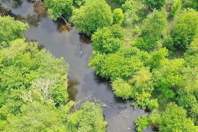 13881 Rivercrest Dr, White Pigeon, MI 49099 - aerial view of a nearby body of water