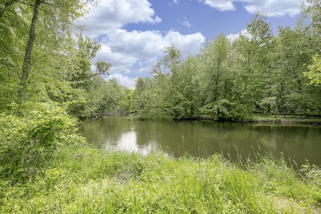 13881 Rivercrest Dr, White Pigeon, MI 49099 - water view with a forest