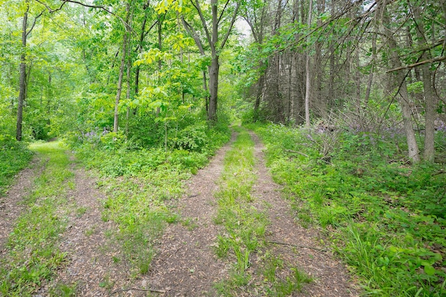 13881 Rivercrest Dr, White Pigeon, MI 49099 - view of wooded area