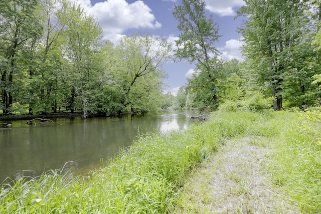 13881 Rivercrest Dr, White Pigeon, MI 49099 - water view with a heavily wooded area