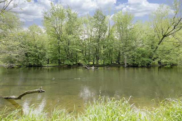 13881 Rivercrest Dr, White Pigeon, MI 49099 - water view