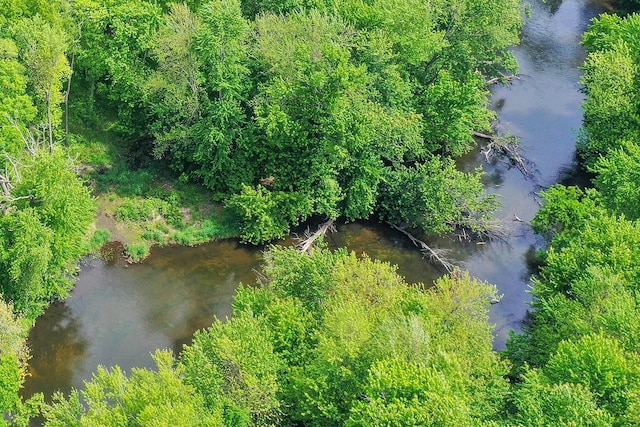 13881 Rivercrest Dr, White Pigeon, MI 49099 - aerial view
