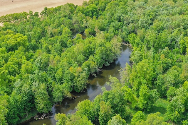 13881 Rivercrest Dr, White Pigeon, MI 49099 - drone / aerial view of a large body of water