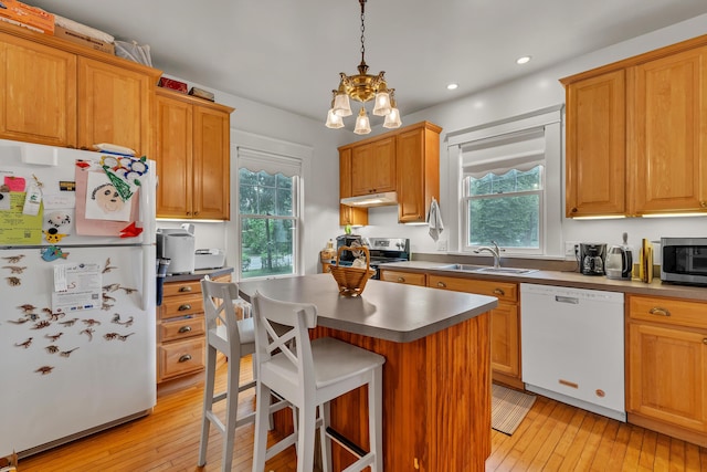 2486 Whitmore Lake Rd, Ann Arbor, MI 48105 - kitchen with appliances with stainless steel finishes, a sink, healthy amount of natural light, light wood-type flooring, and recessed lighting